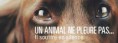 /album/galerie-photos/un-animal-ne-pleure-pas-il-souffre-en-silence-1-jpg/